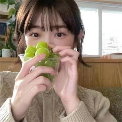 森林：随处可见